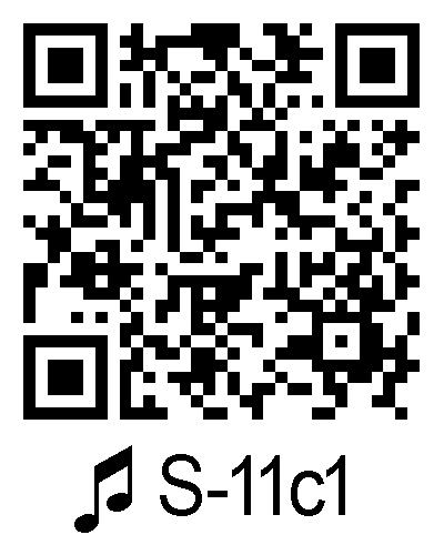 S 11c1 qrcode