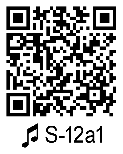 S 12a1 qrcode