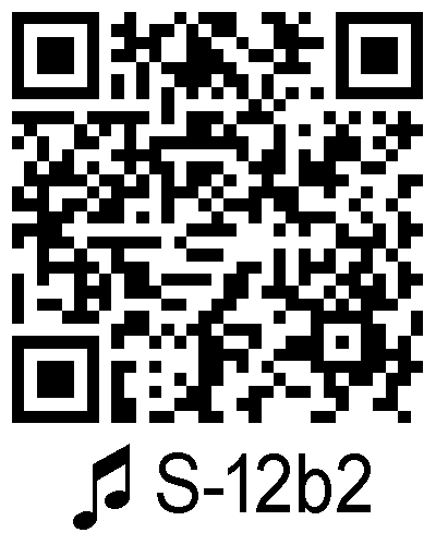 S 12b2 qrcode