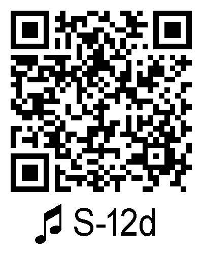 S 12d qrcode