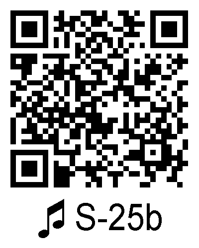 S 25b qrcode