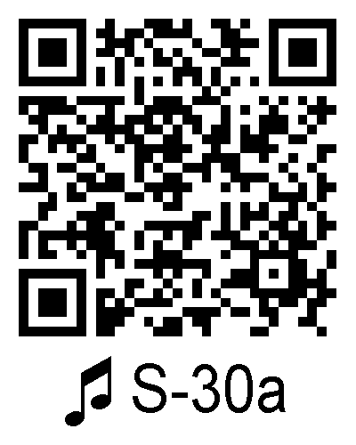 S 30a qrcode