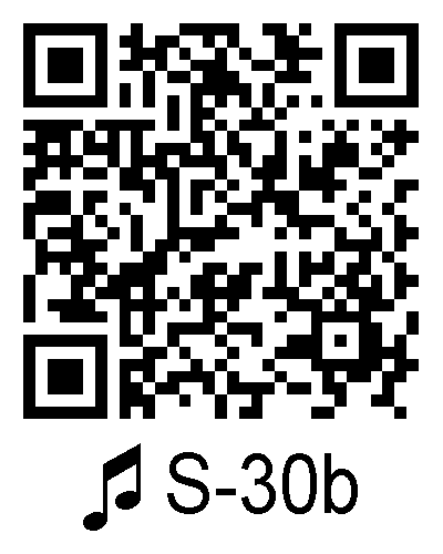 S 30b qrcode